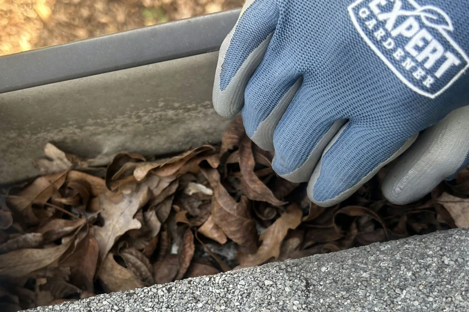 Gutter Cleaning Wise