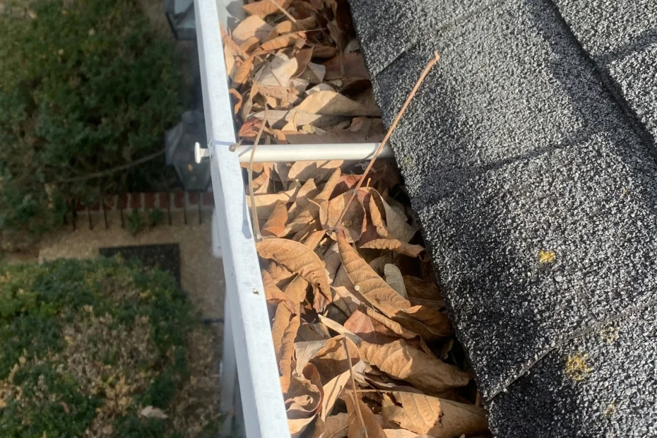 Gutter Cleaning Wise