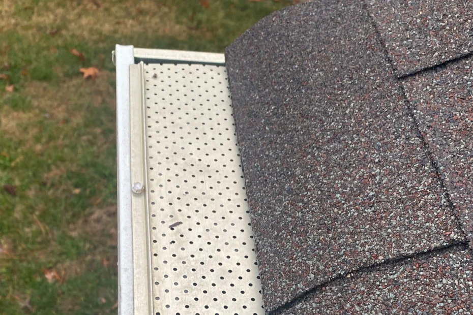 Gutter Cleaning Wise