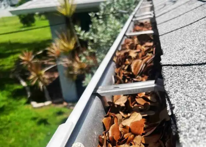 Gutter Cleaning Wise home page